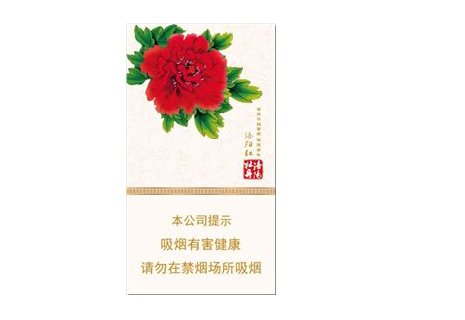 新手如何做香烟批发